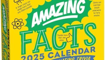 2025’s Most Shocking Facts Exposed – Stay Ahead With These Truths